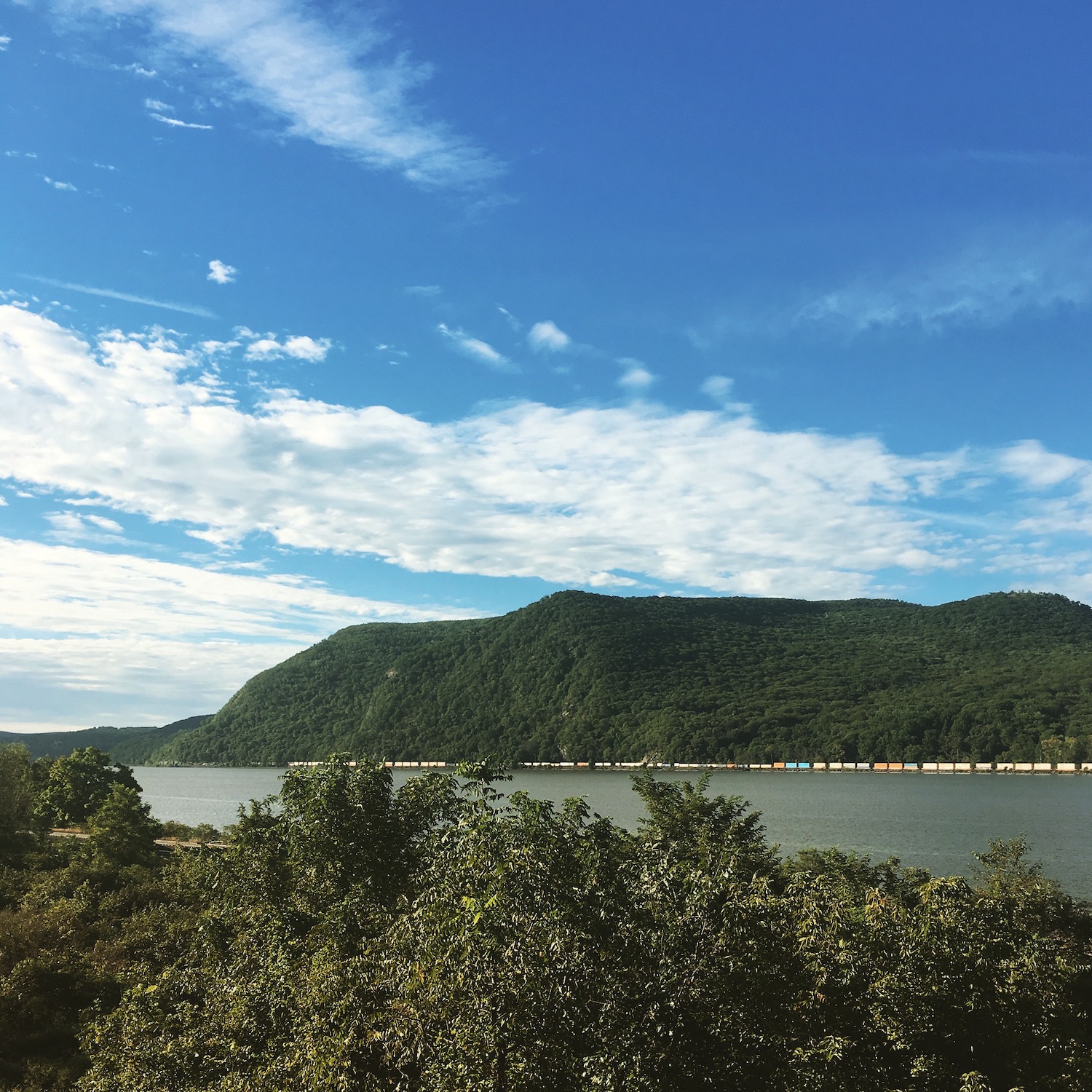 Ann McBrideAlayon Hudson River Line Realty amNewYork